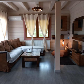 WOODEN HOUSE